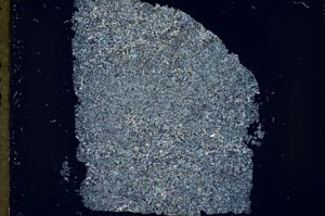 Cross Polarized, S34272