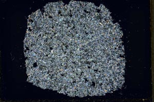 Cross Polarized, S34282