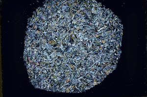 Cross Polarized, S34322