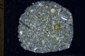 Cross Polarized, S34328