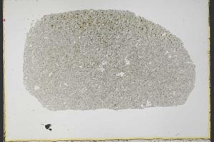 Plane Polarized, S34353