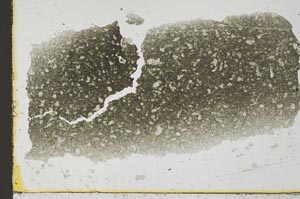 Plane Polarized, S34368