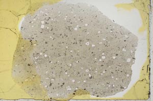 Plane Polarized, S34371