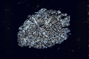 Cross Polarized, S34373