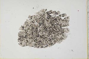 Plane Polarized, S34373