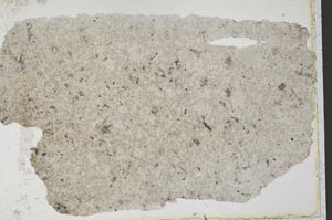 Plane Polarized, S34379