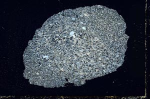 Cross Polarized, S34382