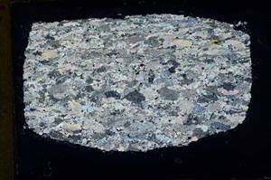 Cross Polarized, S34427