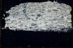 Cross Polarized, S34431