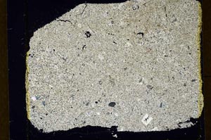 Cross Polarized, S34442