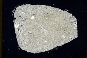 Cross Polarized, S34442/A