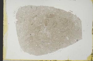 Plane Polarized, S34442/A