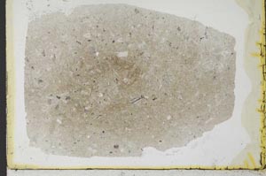 Plane Polarized, S34442/B