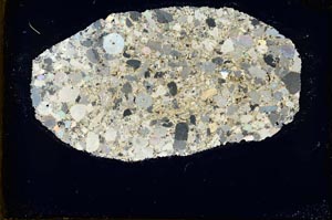 Cross Polarized, S34446