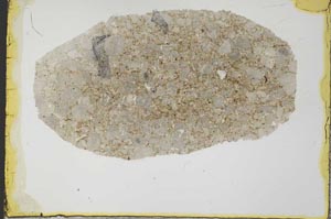 Plane Polarized, S34446