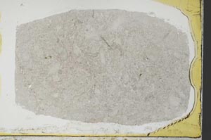 Plane Polarized, S34448