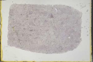 Plane Polarized, S34448/A