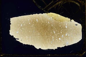 Cross Polarized, S34449