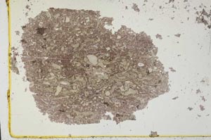 Plane Polarized, S34455