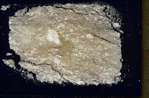 Cross Polarized, S34455/A