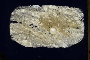 Cross Polarized, S34455/B