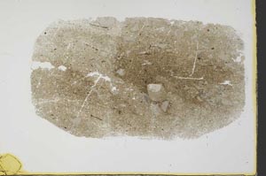 Plane Polarized, S34455/B