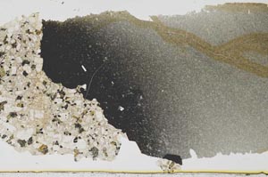 Plane Polarized, S34466