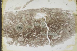 Plane Polarized, S34476