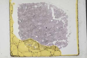 Plane Polarized, S34480