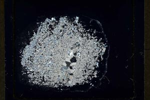 Cross Polarized, S34482