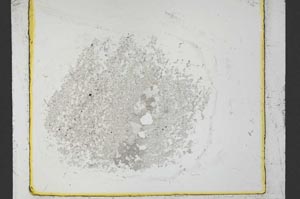 Plane Polarized, S34482