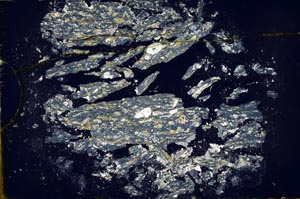 Cross Polarized, S34495