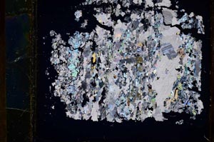 Cross Polarized, S34500