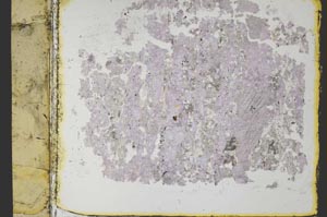 Plane Polarized, S34500