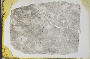 Plane Polarized, S34501