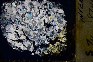 Cross Polarized, S34504