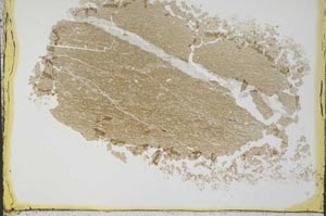 Plane Polarized, S34526