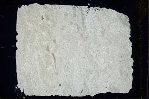 Cross Polarized, S34527