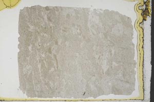 Plane Polarized, S34527