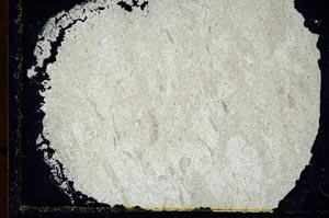 Cross Polarized, S34527/A