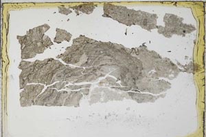 Plane Polarized, S34528