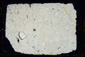 Cross Polarized, S34529