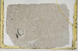 Plane Polarized, S34529