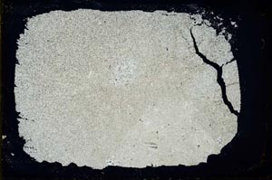 Cross Polarized, S34531