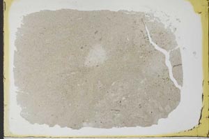 Plane Polarized, S34531