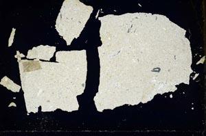 Cross Polarized, S34532