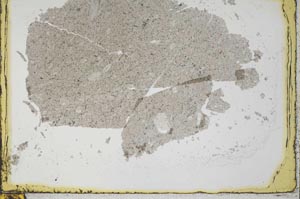 Plane Polarized, S34533