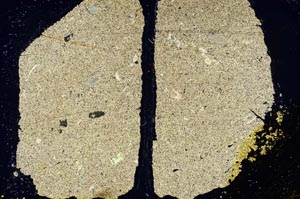 Cross Polarized, S34533/A