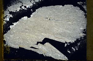 Cross Polarized, S34534