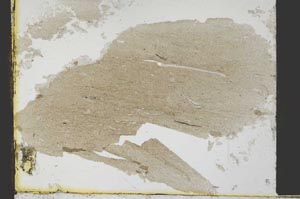 Plane Polarized, S34534